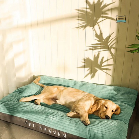 Super Comfortable Pet Bed for Your Pet