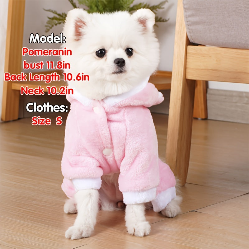 Stylish and cozy clothing for female dogs