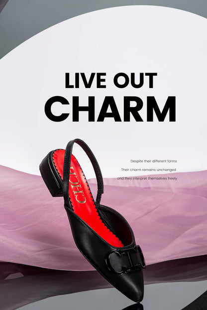 Women's shoe, pointed toe style, elegant