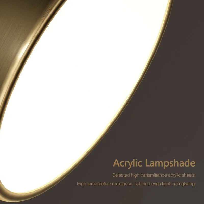 LED Ceiling Light Modern Rotatable Lamp For Corridor Bedroom Living Room Restaurant Indoor Home Decor Round Illumination Fixture