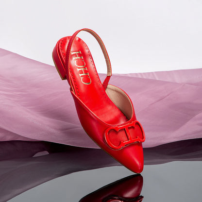 Women's shoe, pointed toe style, elegant