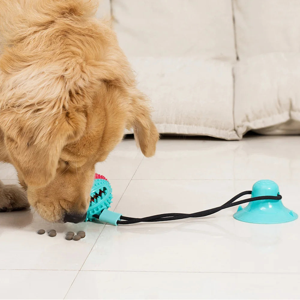 Interactive silicone toy with suction cup for dogs, ideal for chewing and cleaning teeth